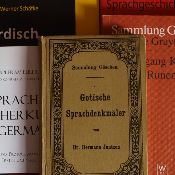 Altisl&auml;ndisch
Altenglisch
Gotisch